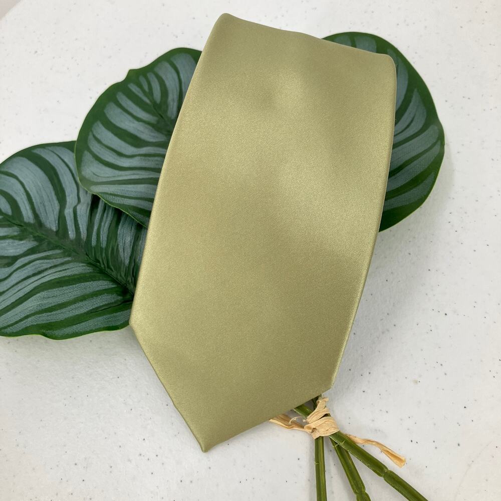 Puccini Sage Green Classic Width Pointed Microfiber Wedding Business Neck Tie